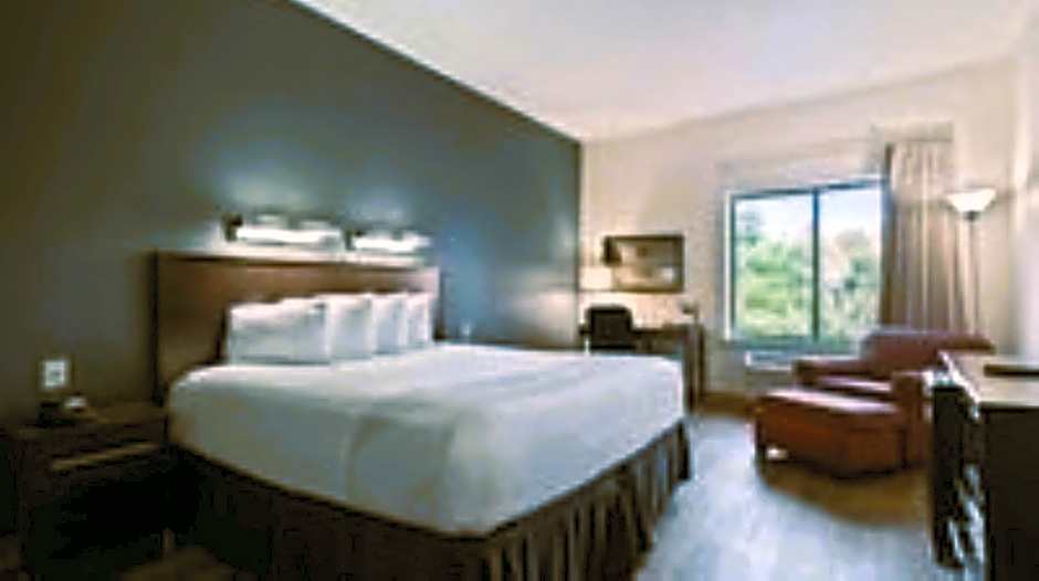 Suburban Studios Orlando - Ocoee-Winter Garden