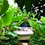 Gravity Eco Boutique Hotel - Adults Only