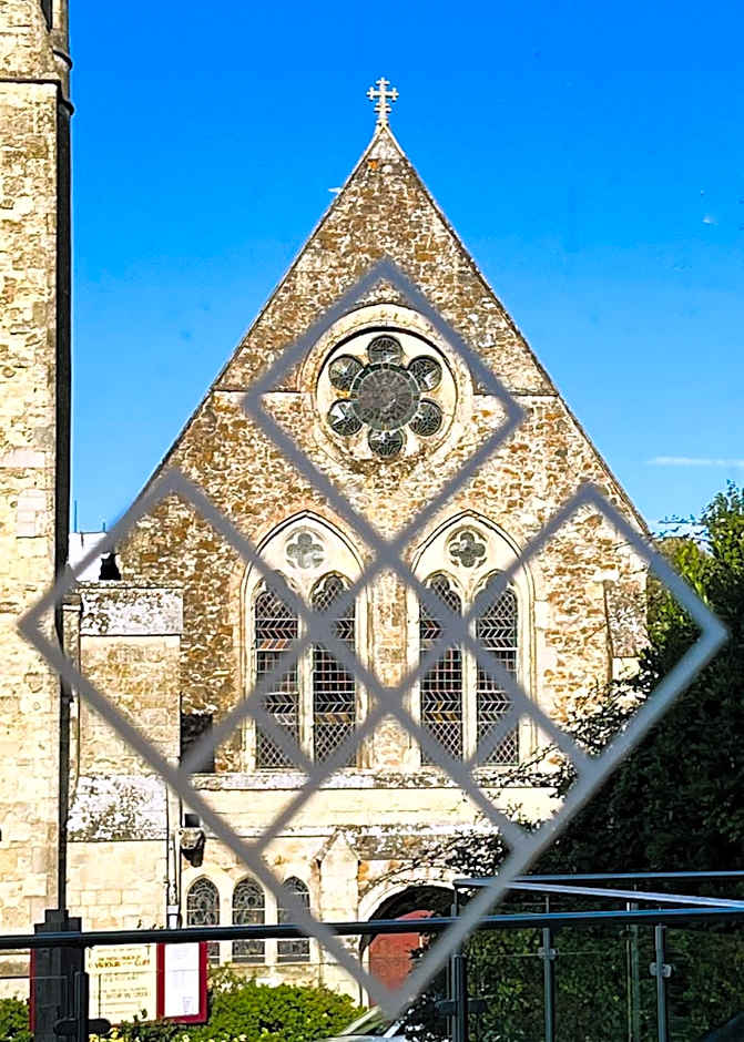 The Fig Tree Shanklin