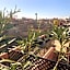 Riad Abaka hotel & boutique