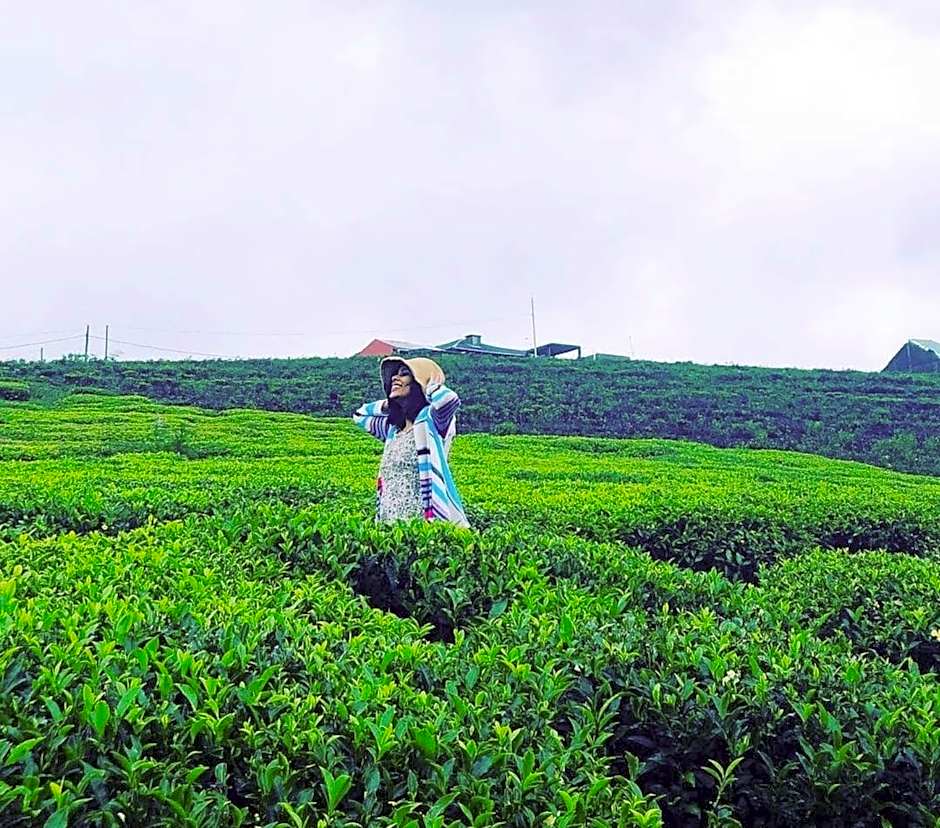 The Tea Garden