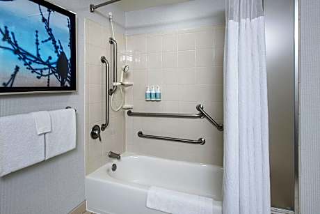 Room, 1 King Bed with Sofa bed (Mobility Accessible, Tub) (1 King Bed and 1 Double Sofa Bed)