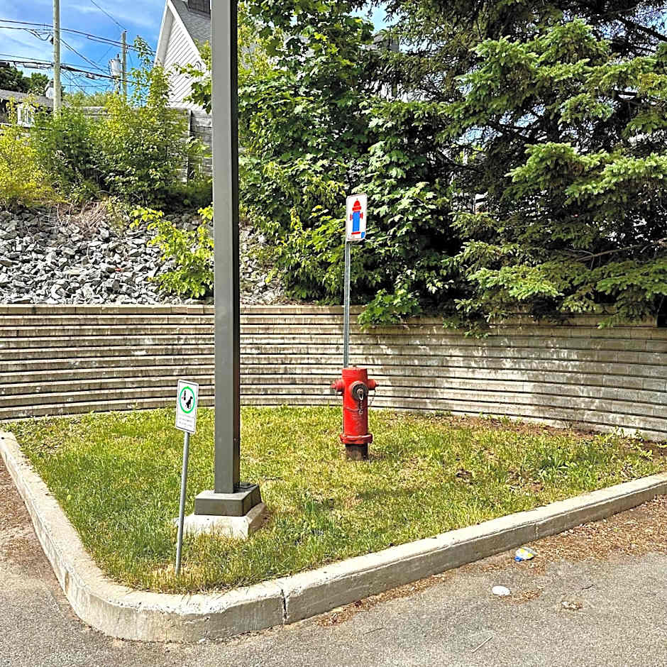 INITIAL - MAITRE - Chutes-Montmorency