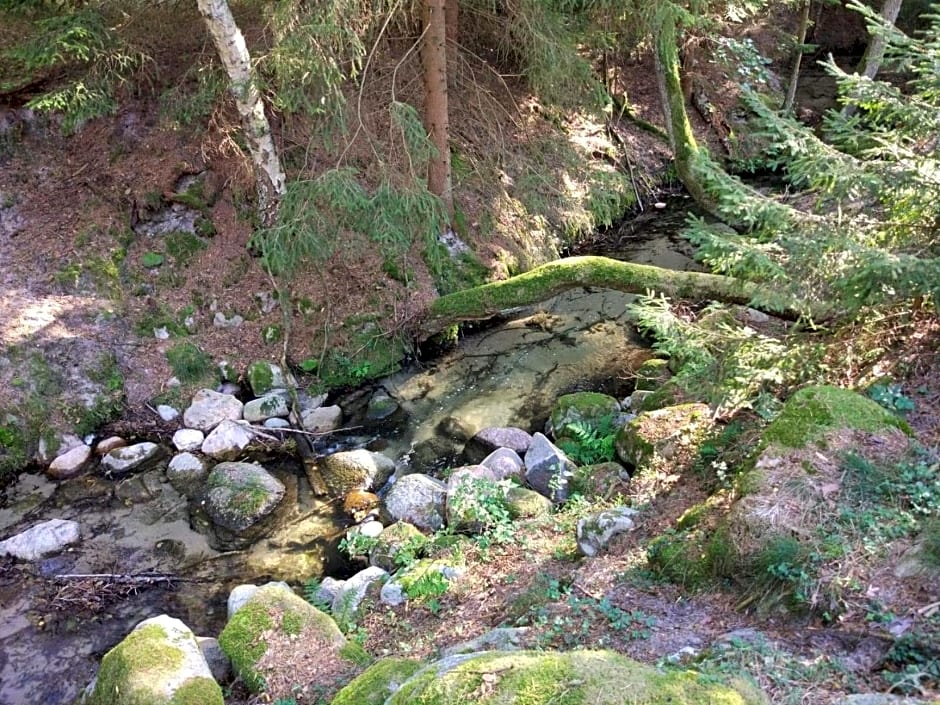 Hubertówka Czapiewice