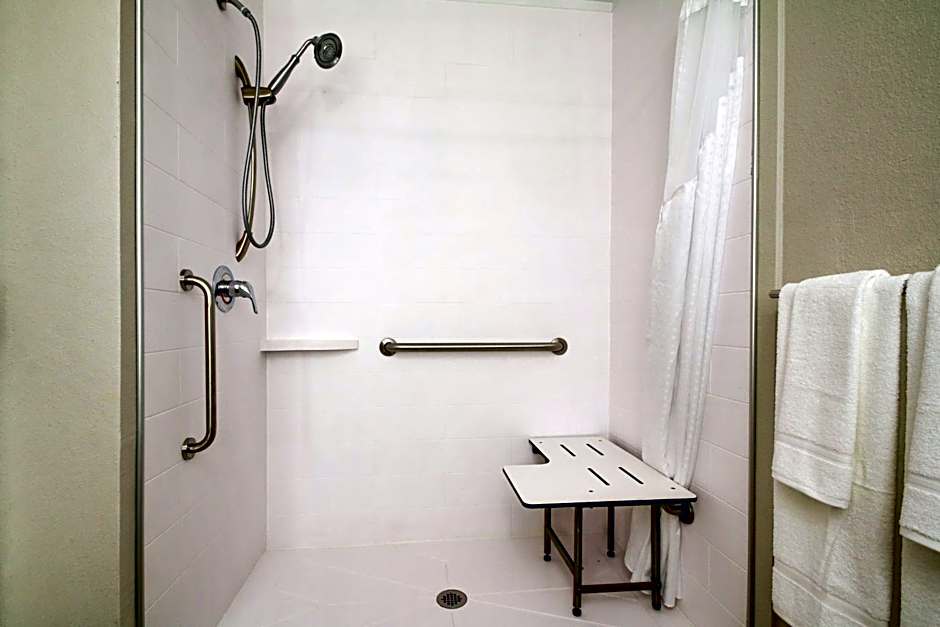 Photo 1 of 1 of Deluxe 1 King Bed, Accessible, Roll in Shower