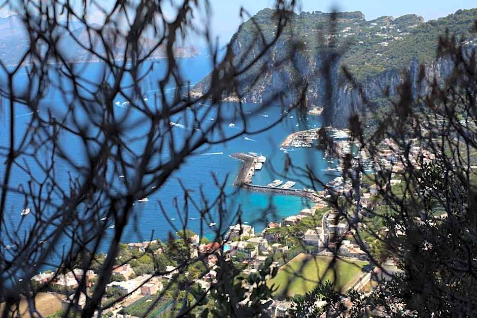 Il Giardino dell'Arte