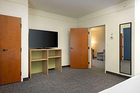 One-Bedroom King Suite