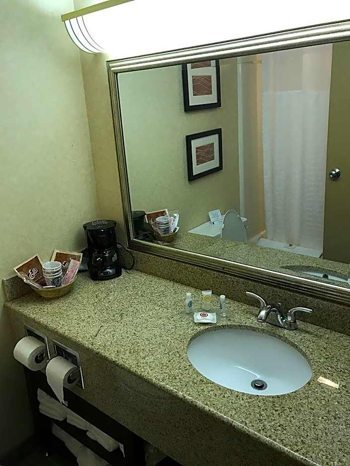 Comfort Inn West Rochester