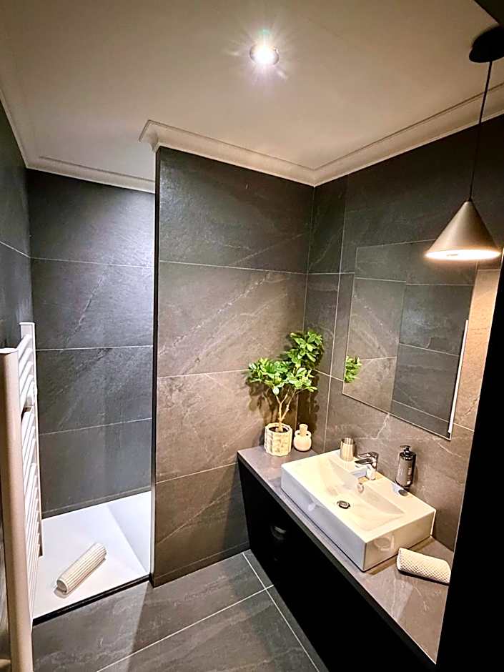 ALFRED SUITES - Appart-Hôtel - Dijon - Centre Historique