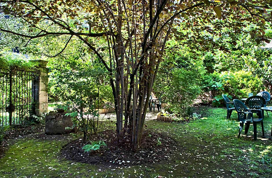 Abaca Messidor by Happyculture