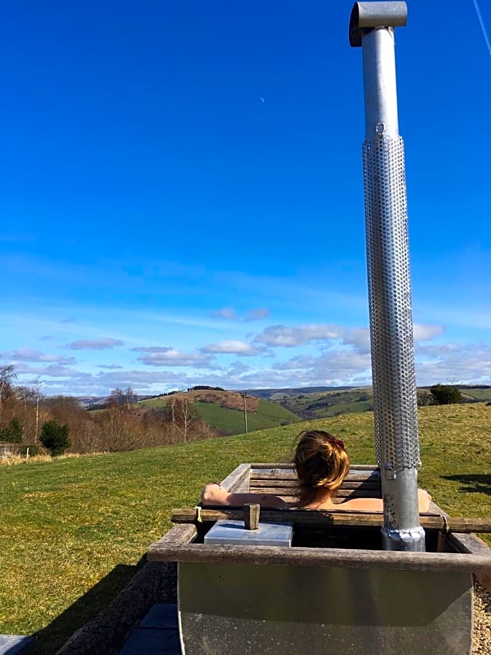 Belan Bluebell Woods Shepherds Hut