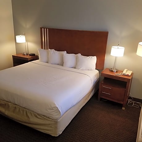 Accessible - 1 King, Mobility Accessible, Roll In Shower, Non-Smoking, Continental Breakfast