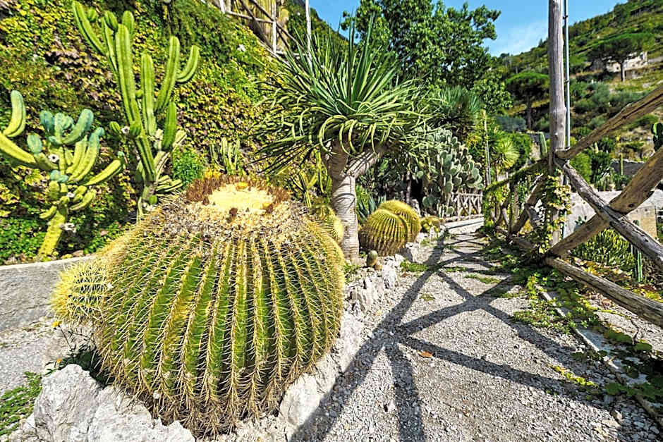 Hotel Botanico San Lazzaro