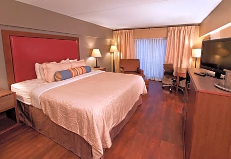 Deluxe King Room