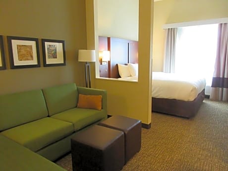 Accessible King Suite with Sofa Bed and Tub - Non Smoking