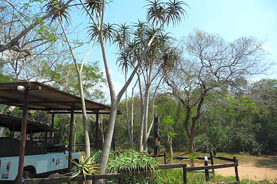 Isinkwe Bush Camp