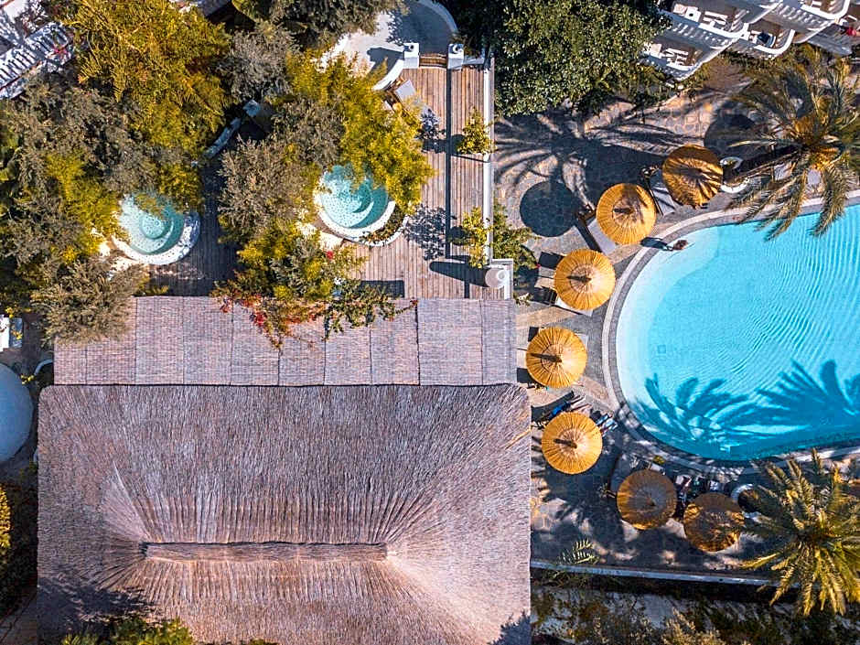 Flamingo Hotel and Spa