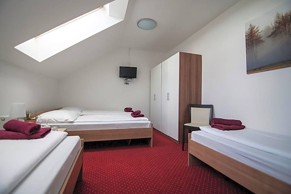 Hotel Krušnohorský Dvůr