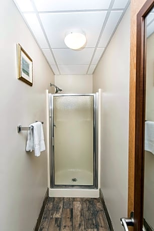 1 King Bed, Non-Smoking, Jacuzzi Tub, Sofabed, Microwave And Refrigerator, High Speed Internet Acces