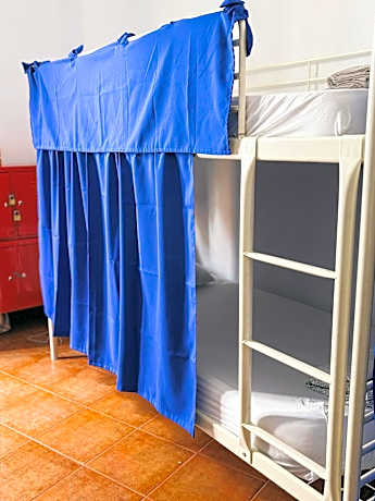 Bed in 6-Bed Mixed Dormitory Room