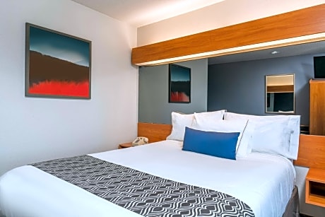 1 Queen Bed Mobility Accessible Room Non-Smoking