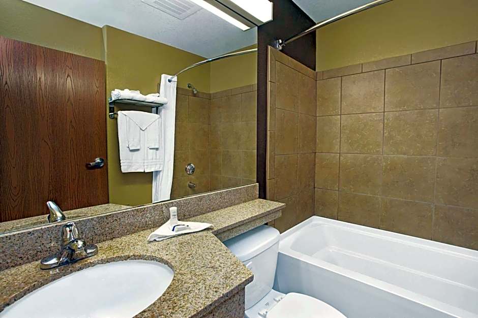 Microtel Inn & Suites by Wyndham Cartersville