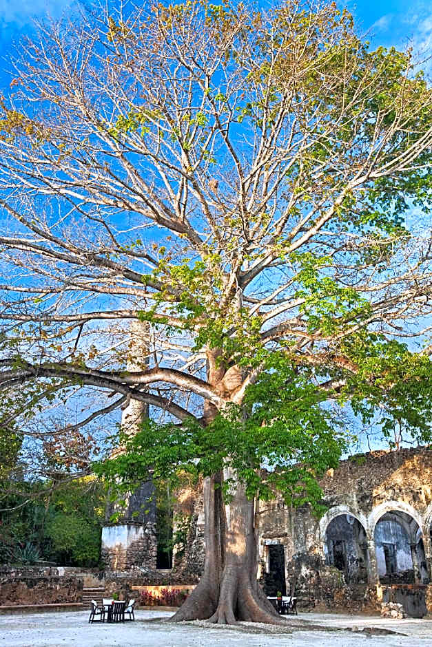 Hacienda Uayamon By IHG