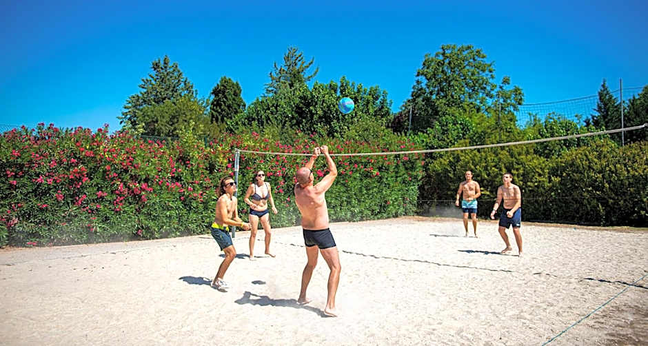 Domaine Le Clos des Oliviers