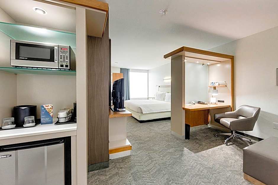SpringHill Suites by Marriott Houston The Woodlands