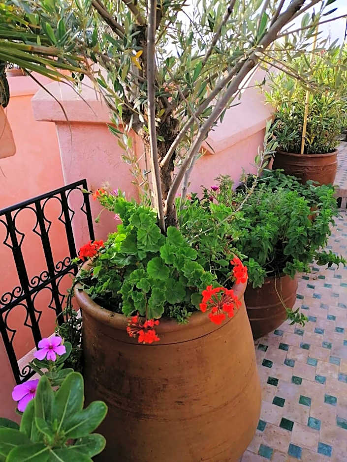 Riad Aventurine