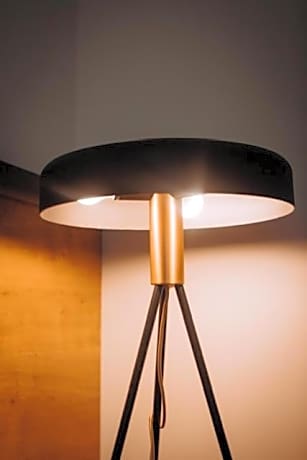 Double Room with Air-Conditioning