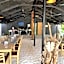 Turtle Maldives - Your Gateway to the Beach & Marine Adventures Await!