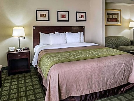 1 KING BED SUITE NONSMOKING