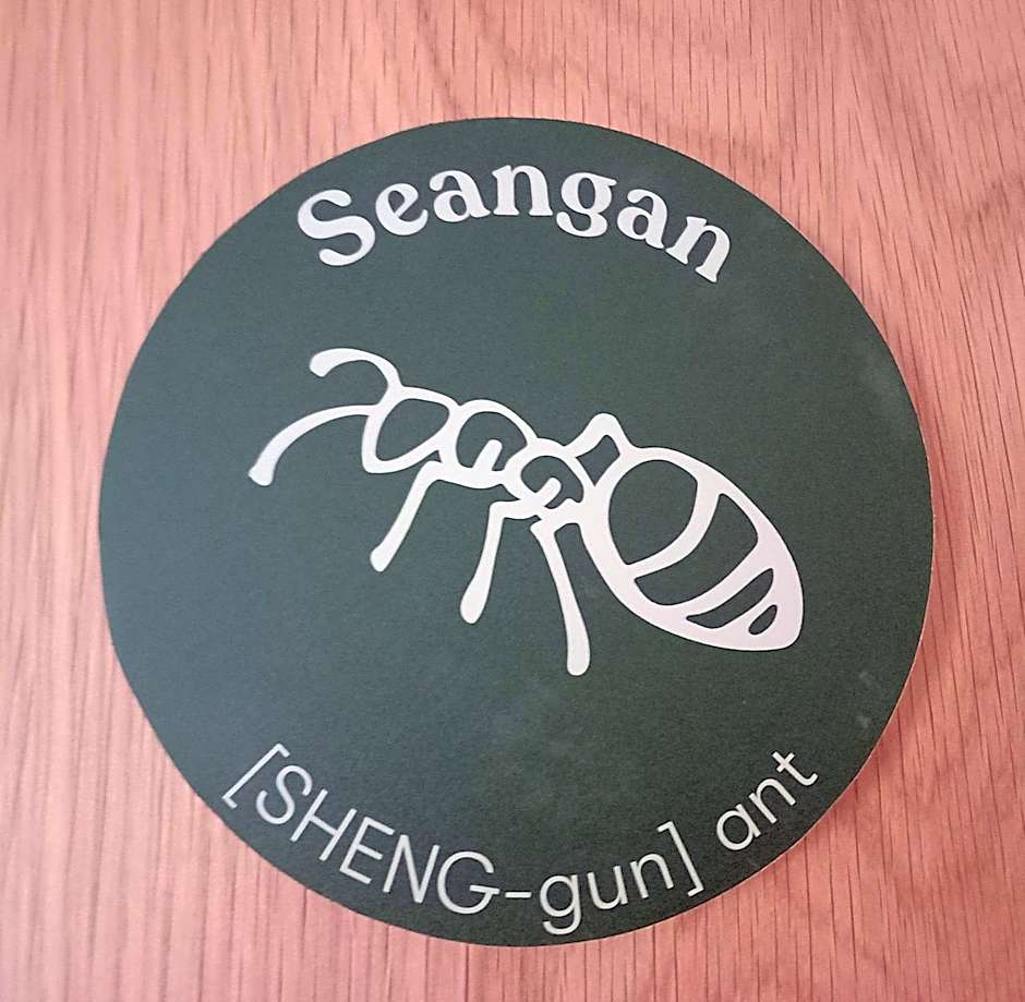 An Spiris Accommodation at Dundreggan Rewilding Centre