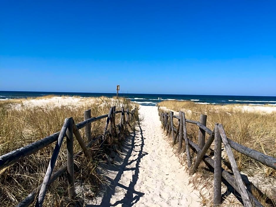 Domki nad morzem Sasino Mojo Miodno Checz