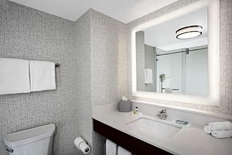 Holiday Inn Express Hotel & Suites Ottawa Airport By IHG