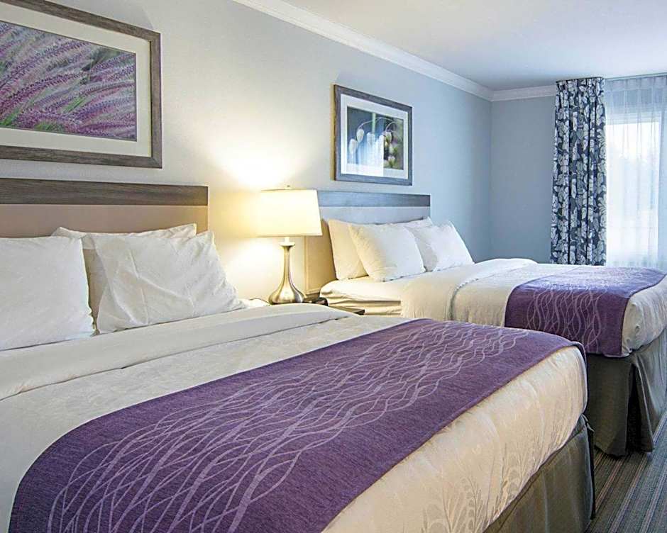 Comfort Inn Williamsburg Gateway