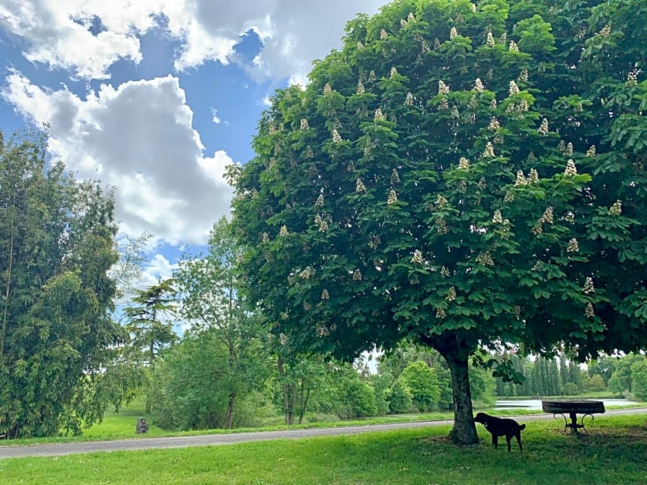 DOMAINE DU PONT SALMOIS