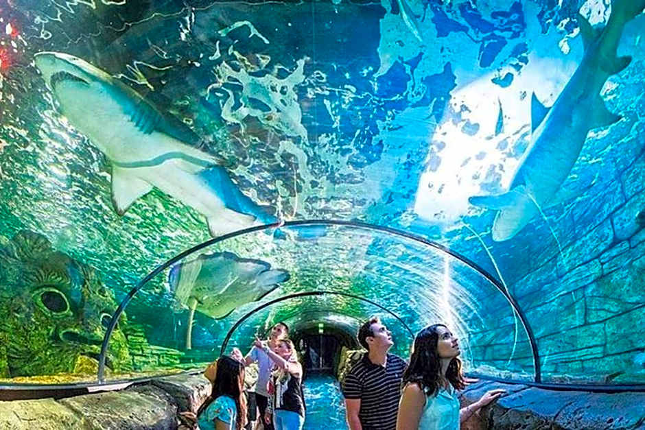 Cozy Double Room - Central Spot - Shared Bathroom