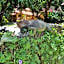Esencia Hotel and Villas - near the Beach -