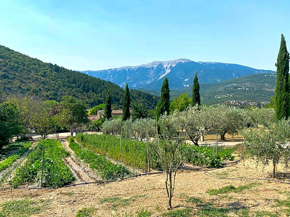 Chambre d'hôtes une fenêtre sur le Ventoux