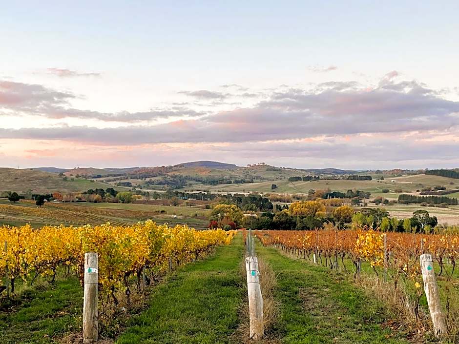 Turners Vineyard Motel