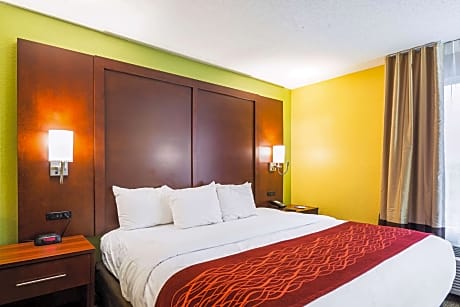 1 King Bed, Suite, Nonsmoking