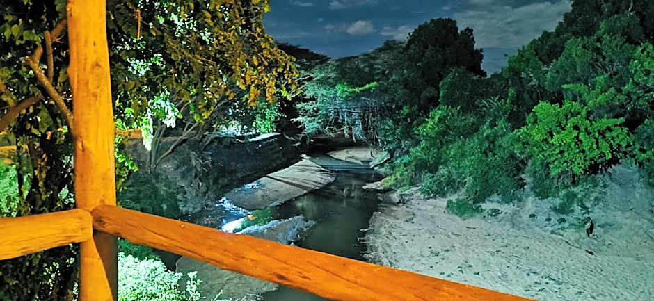 Fig Tree Camp - Maasai Mara