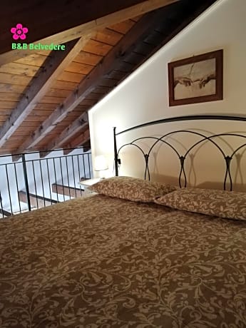 B&B Belvedere