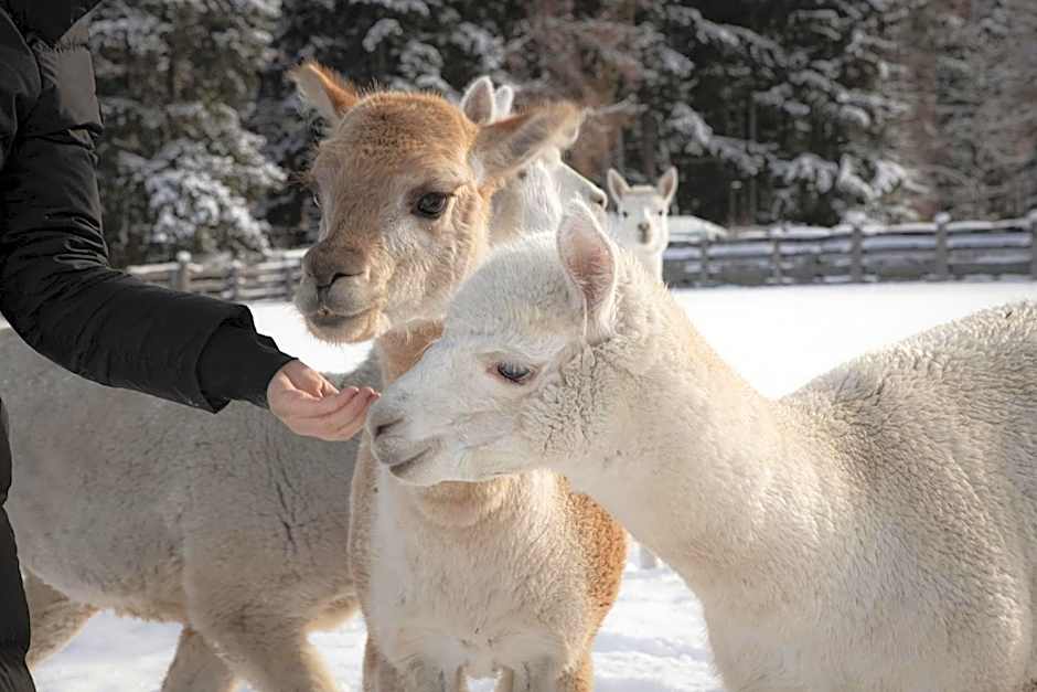 Aparthotel Familiaris - Family Apartments - Pools & Spa in Dolomites