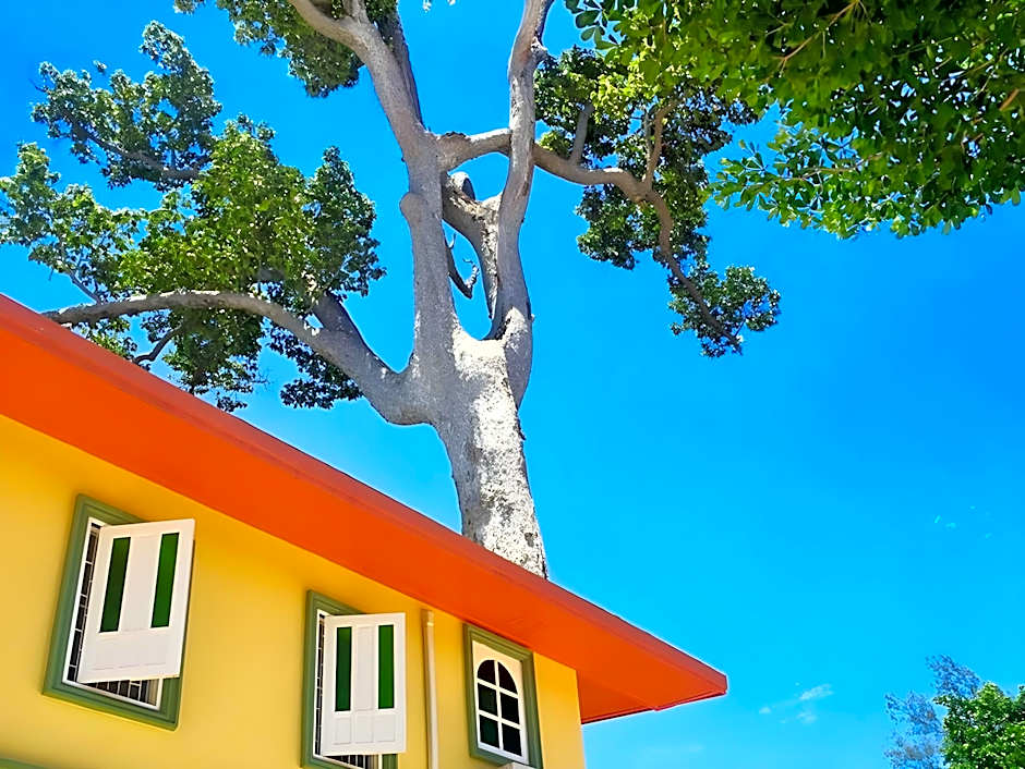 Bann Yang Tree Homestay at Pakchong