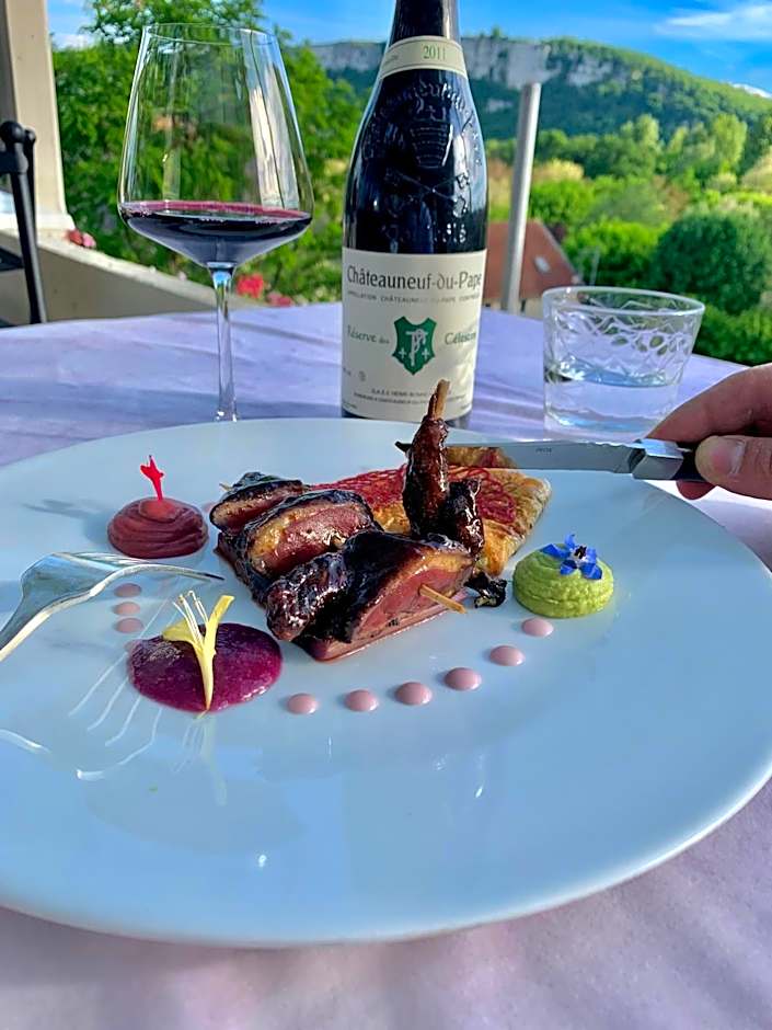 Château Hôtel La Terrasse - Teritoria