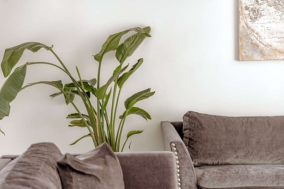 ZEN Central Apartments