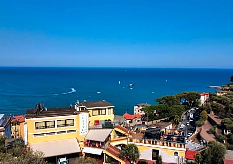 Ulivo